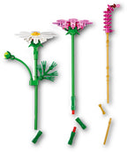LEGO Botanicals Cosmeabloemen - 11514 - afbeelding 2