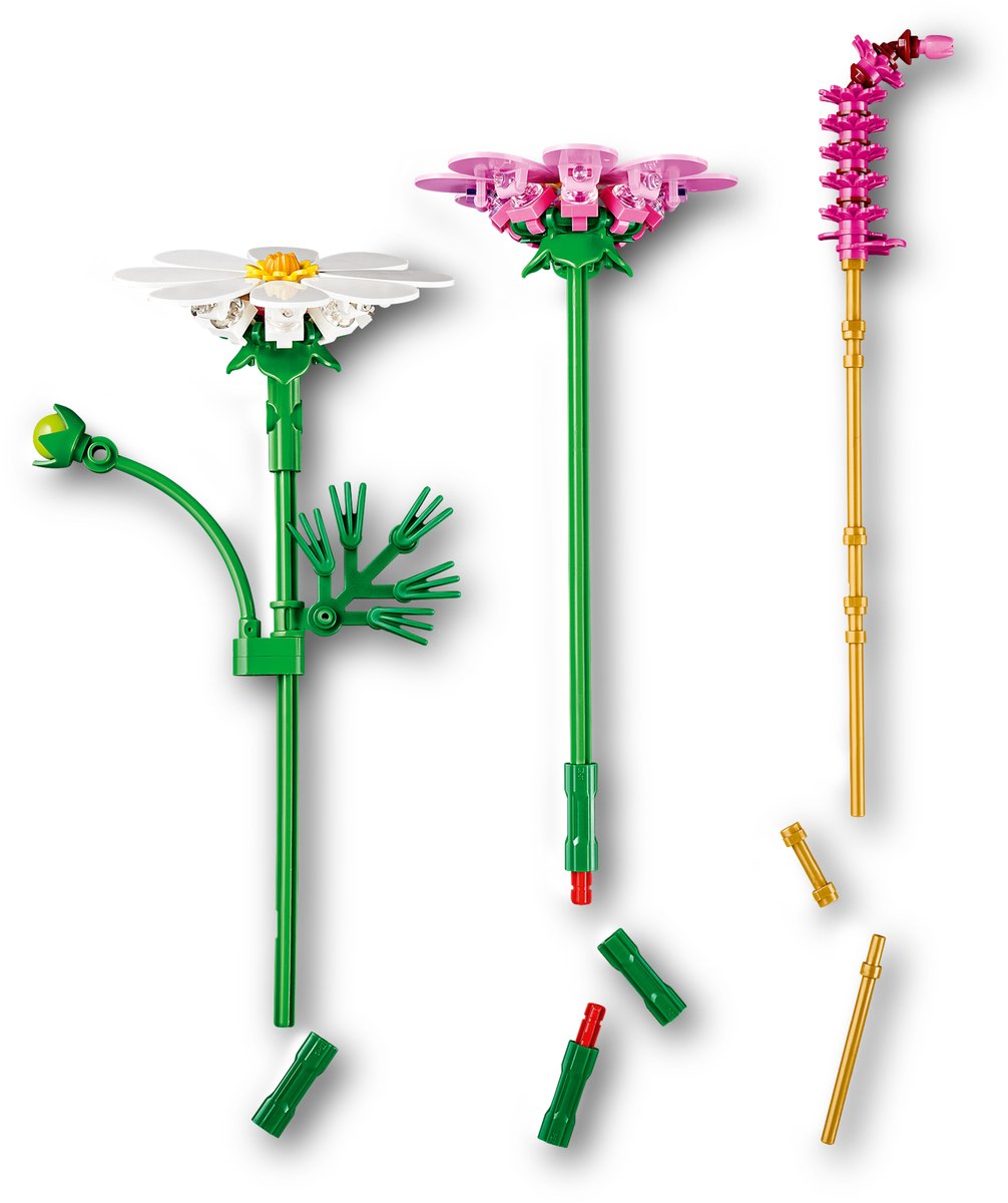 LEGO Botanicals Cosmeabloemen - 11514 - afbeelding 2