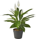 Kunstplant Spatiphyllum H60cm - HTT Decorations kunstplanten - afbeelding 1