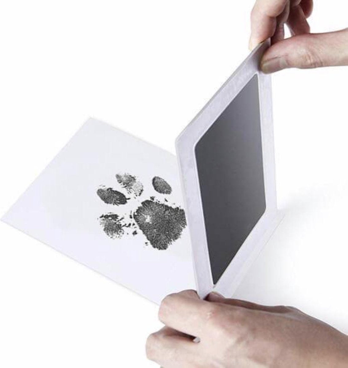 PrintMe - Paw Print Pad - Groter formaat - Pootafdruk maken van Hond of Kat - Geen Inkt op Poot - afbeelding 3
