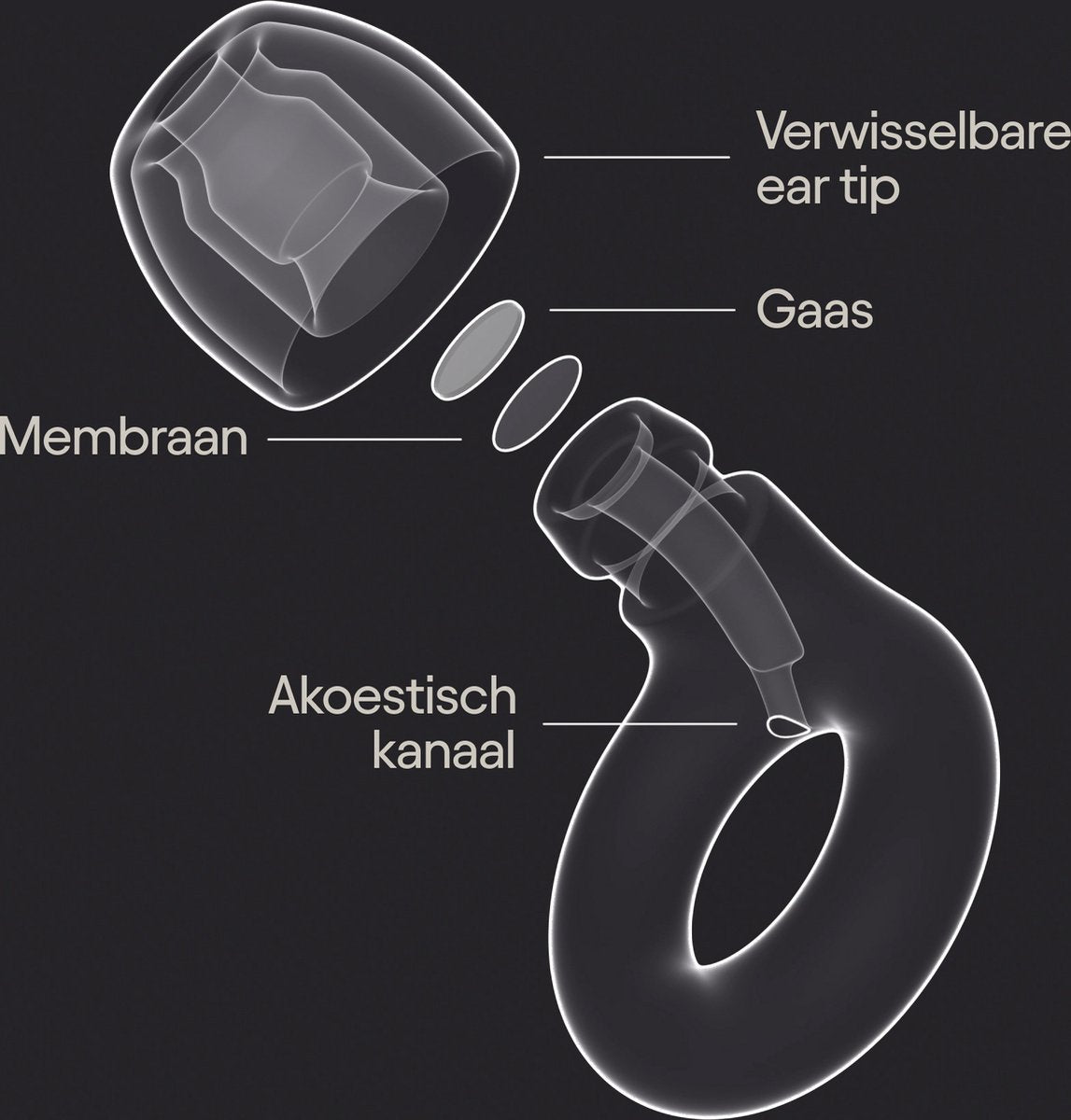 Loop Experience 2 Earplugs - oordopjes festival en feesten oordoppen - 17 dB Hifi gecertificeerde gehoorbescherming oordoppen voor carnaval, concerten, clubs, muzikanten, dj's en het nachtleven - afbeelding 5