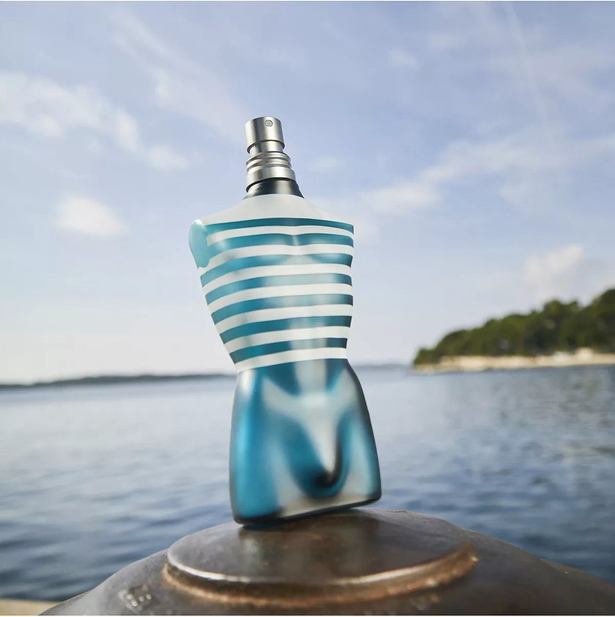 Jean Paul Gaultier Le Male Eau de Toilette 125 ml - afbeelding 5