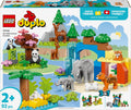 LEGO DUPLO Stad 3-in-1 families van wilde dieren - 10446 - afbeelding 1