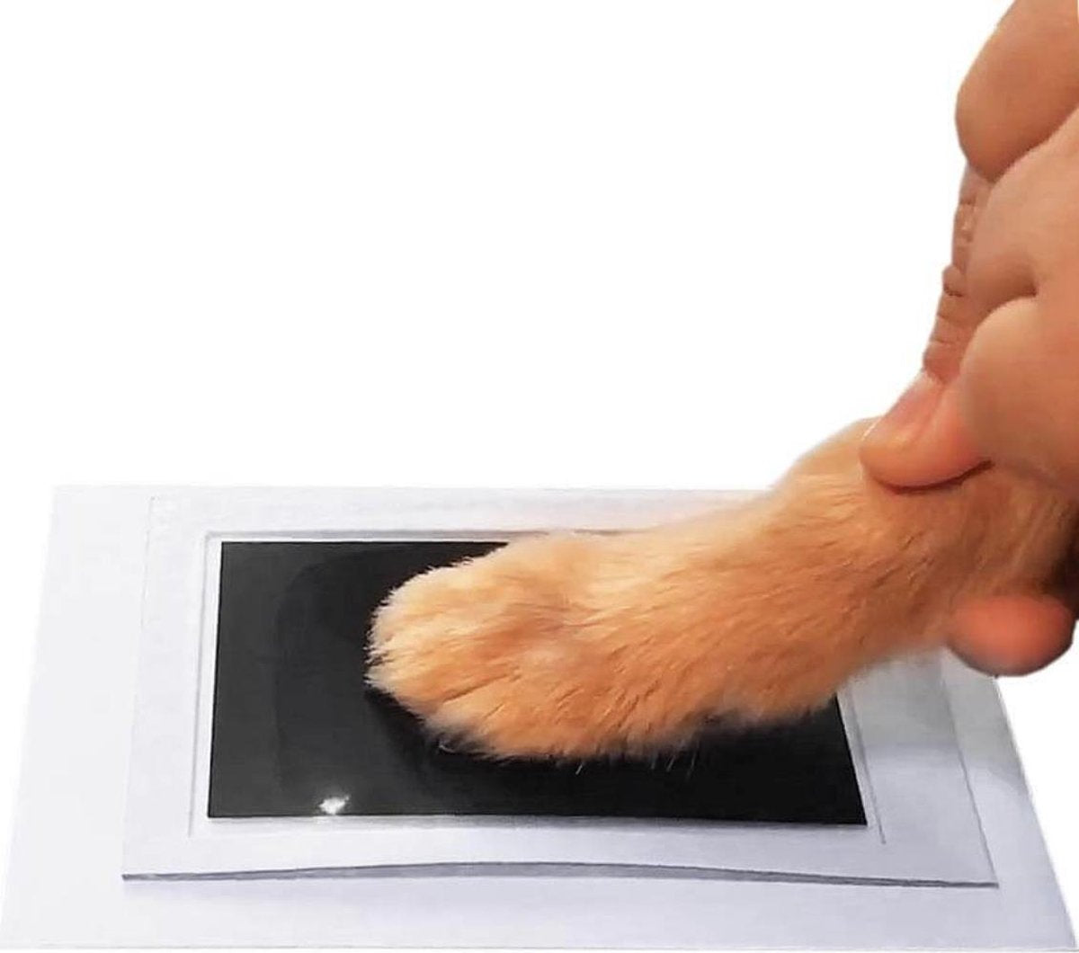 PrintMe - Paw Print Pad - Groter formaat - Pootafdruk maken van Hond of Kat - Geen Inkt op Poot - afbeelding 2