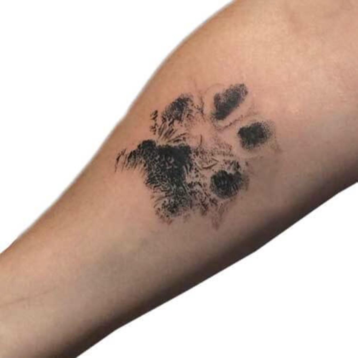 PrintMe - Paw Print Pad - Groter formaat - Pootafdruk maken van Hond of Kat - Geen Inkt op Poot - afbeelding 5