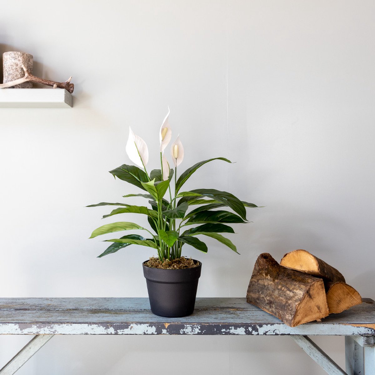 Kunstplant Spatiphyllum H60cm - HTT Decorations kunstplanten - afbeelding 3