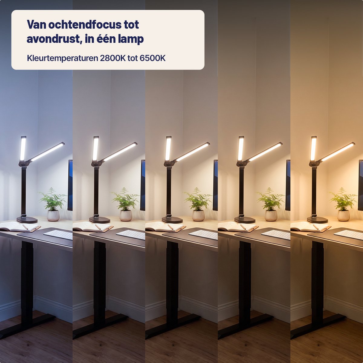 Stane Dubbele Bureaulamp LED Dimbaar - 2 Draaibare Lampenkoppen - 5 Lichtkleuren (2700K-6000K) - Touchbediening - USB Oplader - Tafellamp - Werklamp - Zwart - afbeelding 3