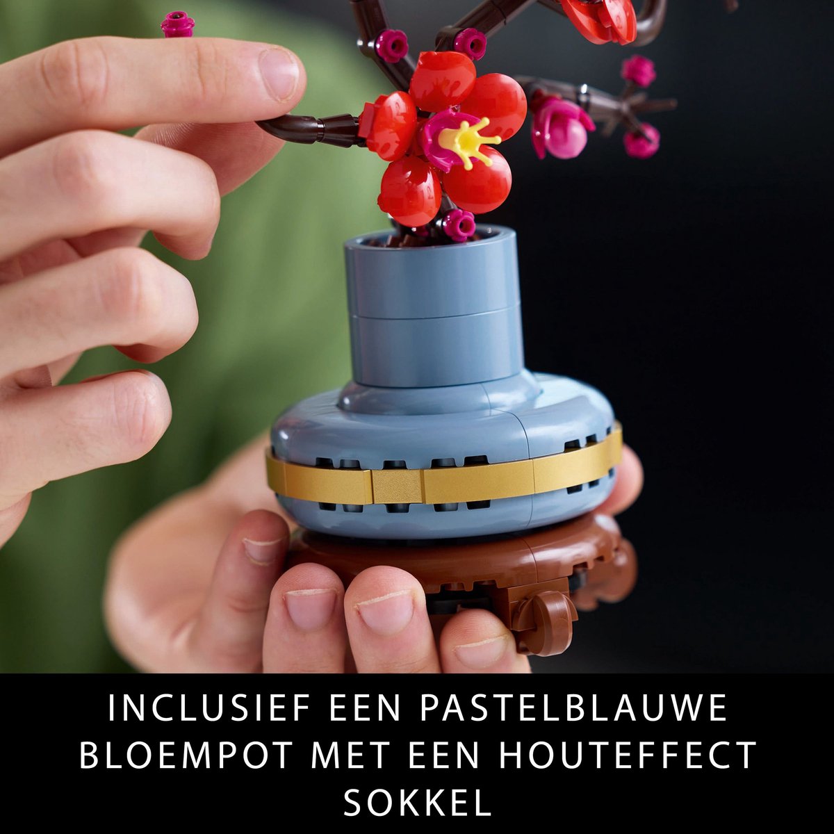 LEGO Icons Japanse abrikoos - Botanical Collection - 10369 - afbeelding 5