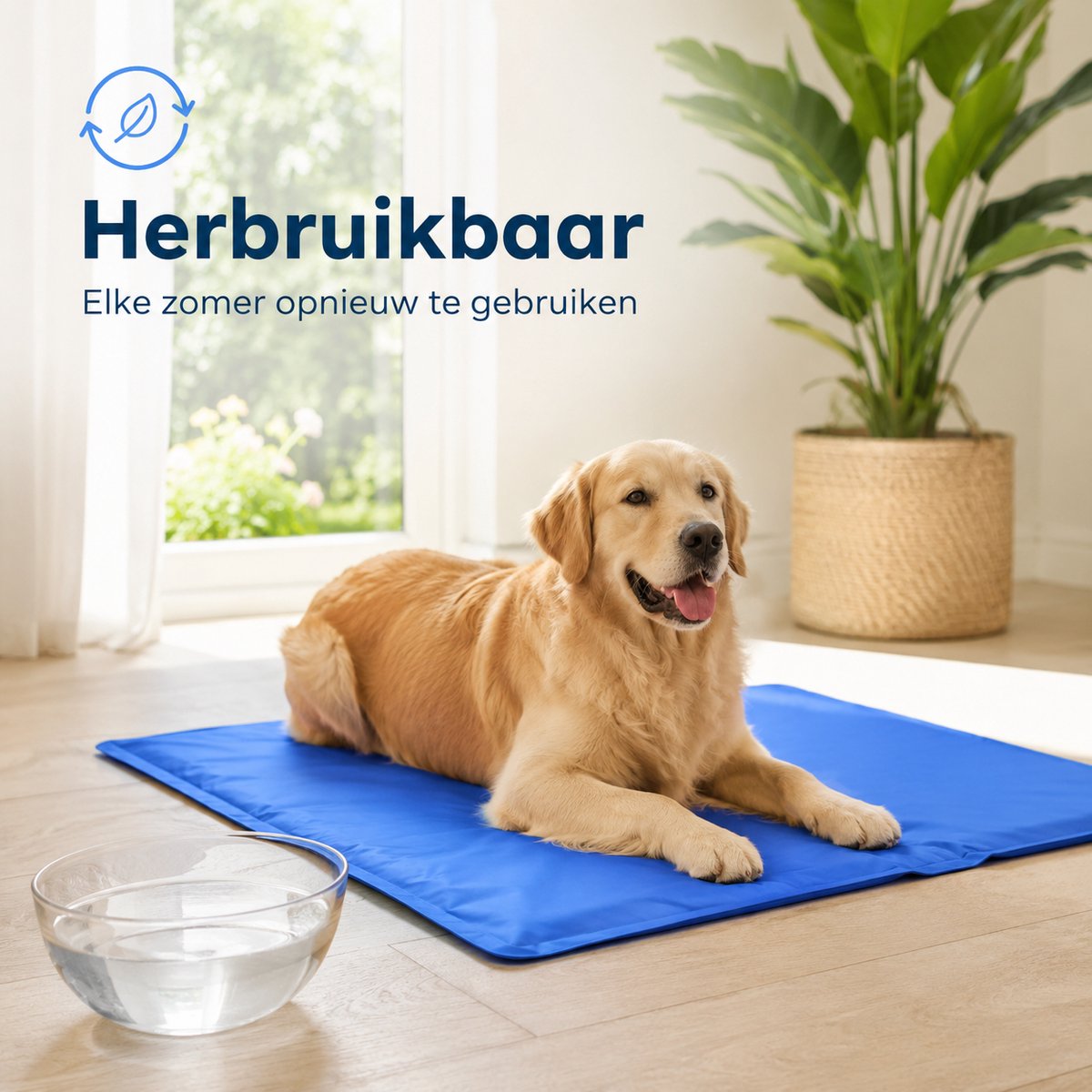 Hondenkoelmat 60 x 80 cm – Maat L – Verkoelende Mat voor Kleine Honden en Katten - Niet-giftige gel - afbeelding 4