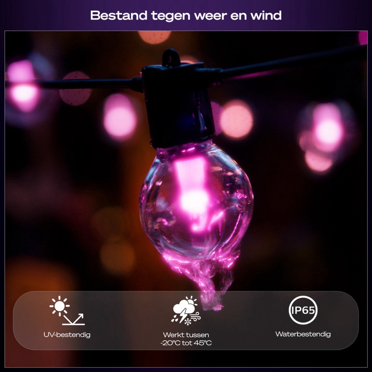 Philips Hue Festavia Lichtslinger 20 Globelampen - Wit en Gekleurd Licht - Incl. Hue Dimmer Switch - afbeelding 4