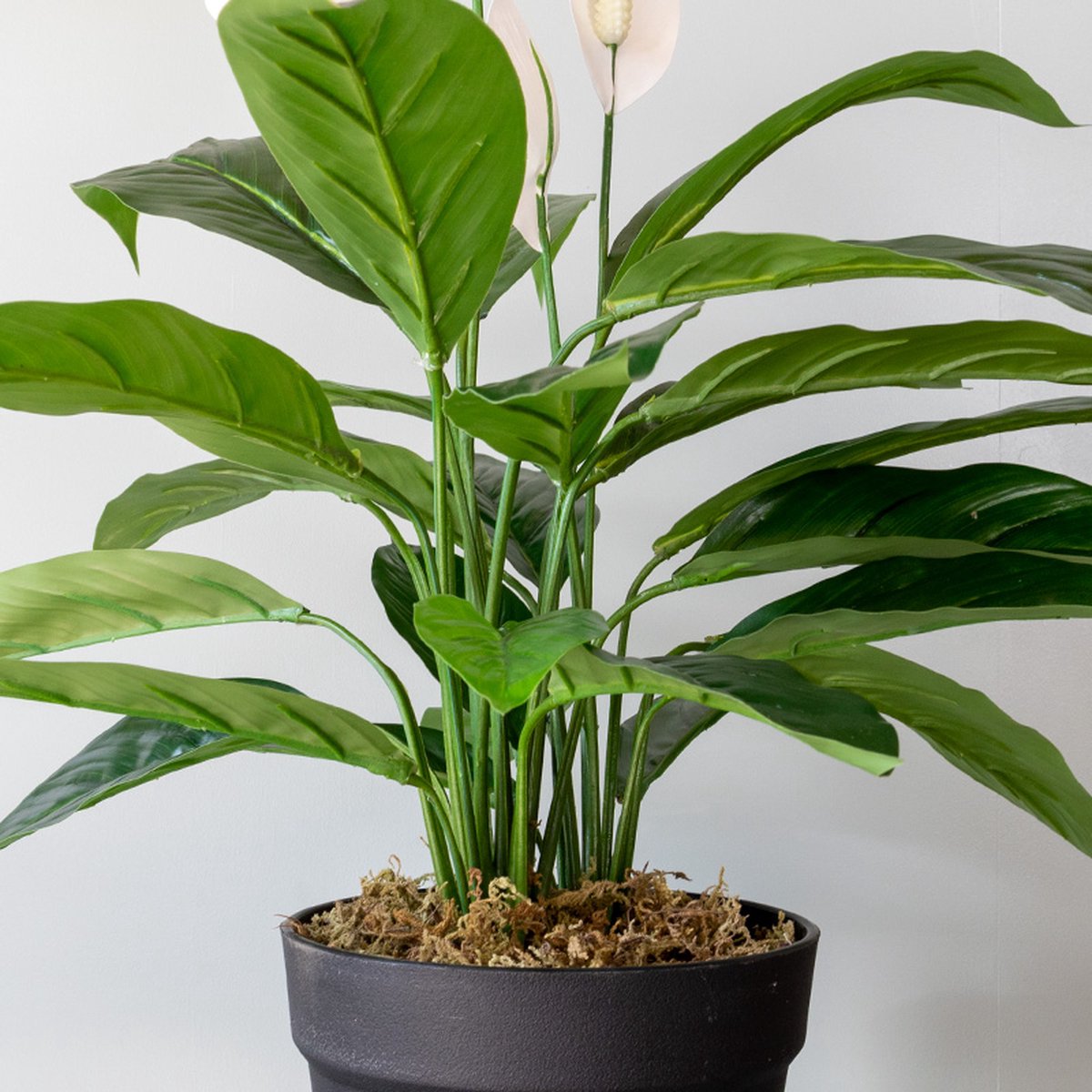 Kunstplant Spatiphyllum H60cm - HTT Decorations kunstplanten - afbeelding 4