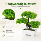 Boncy® Premium Bonsai Kunstplant in pot - 2 stuks Kunstplanten - Nep planten voor Binnen en Buiten - Kamer Decoratie - Nepplanten Kunst plant Boompje - Kunstbloemen - afbeelding 3