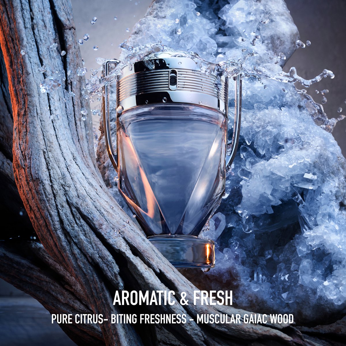 Paco Rabanne Invictus 100 ml Eau de Toilette - afbeelding 5
