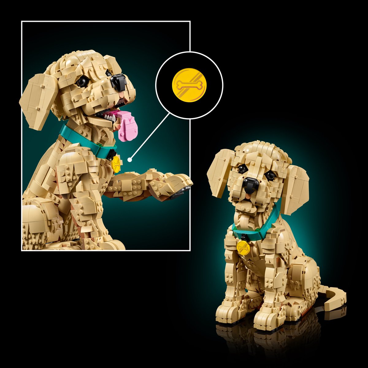 LEGO Icons Golden Retriever Puppy - Decoratieve Dierenfiguur - Bouwset voor Volwassenen - 11384 - afbeelding 2