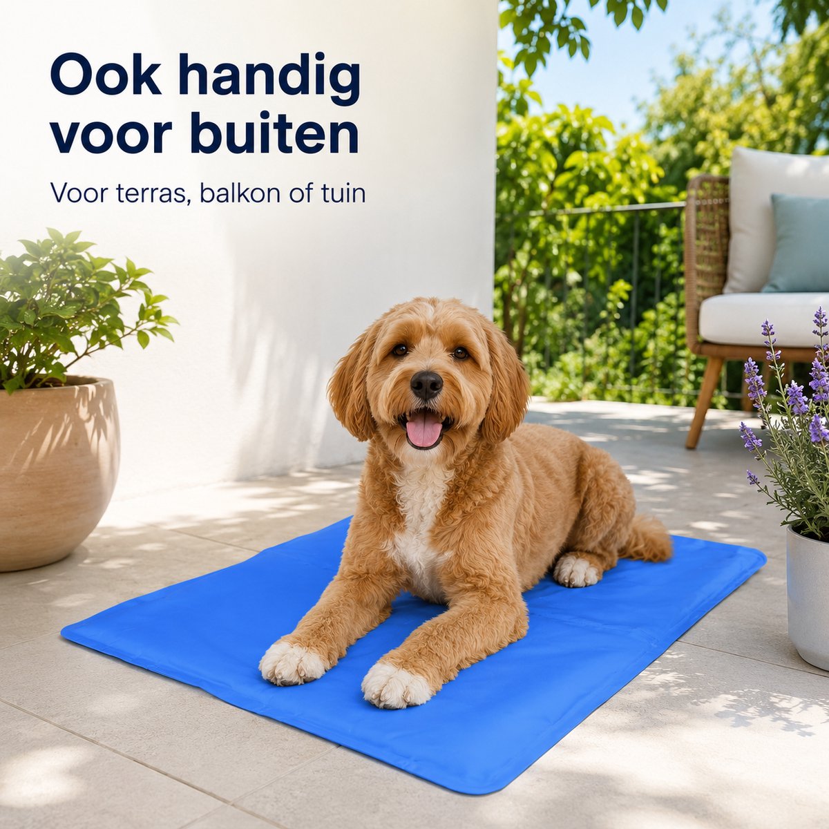 Hondenkoelmat 60 x 80 cm – Maat L – Verkoelende Mat voor Kleine Honden en Katten - Niet-giftige gel - afbeelding 5