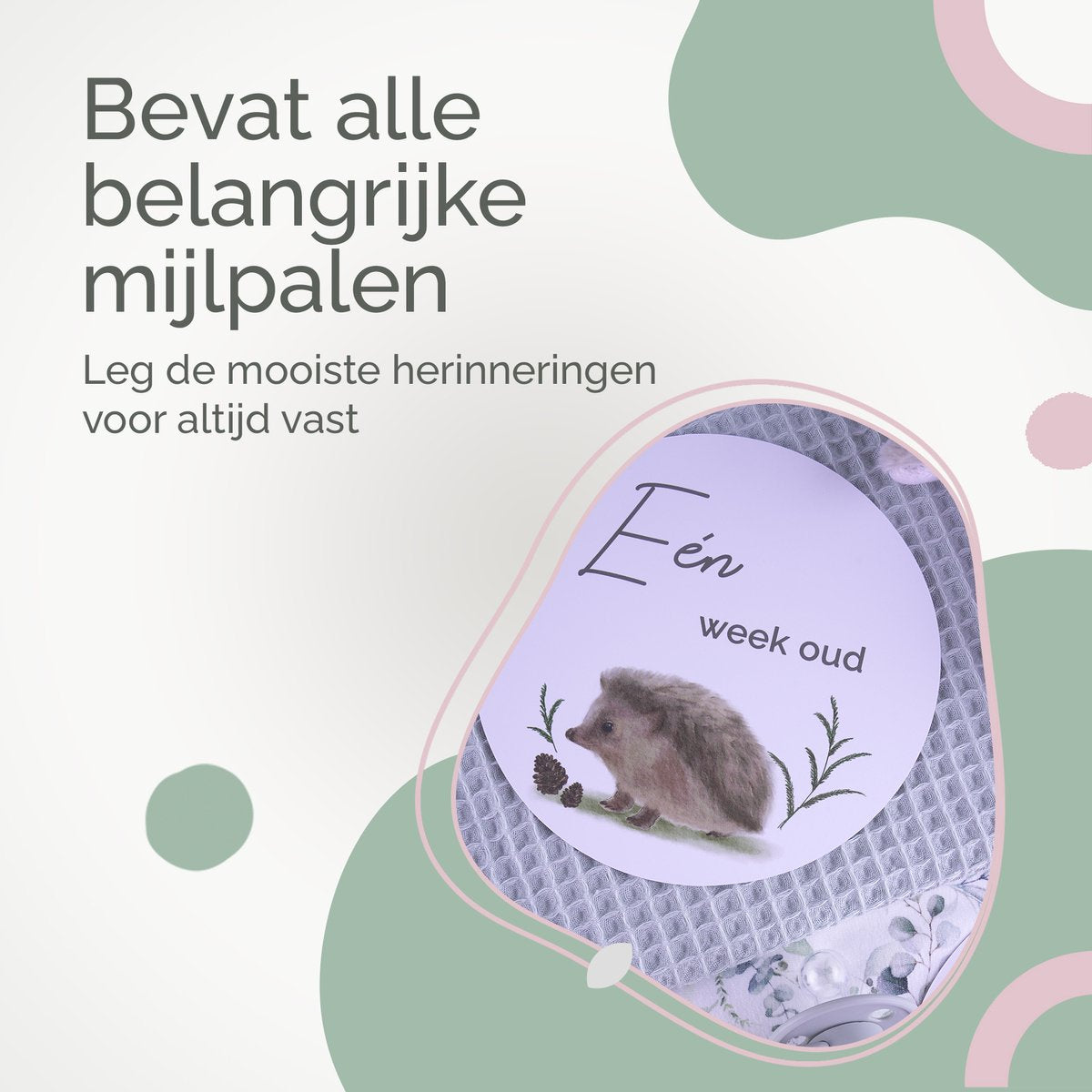 Rose & Ollie Mijlpaalkaarten baby - Bosdieren - babyshower - kraamcadeau - afbeelding 2