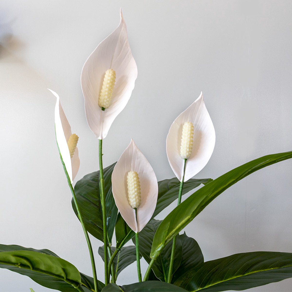 Kunstplant Spatiphyllum H60cm - HTT Decorations kunstplanten - afbeelding 2