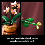 LEGO Botanicals Mini orchidee - 10343 - afbeelding 5