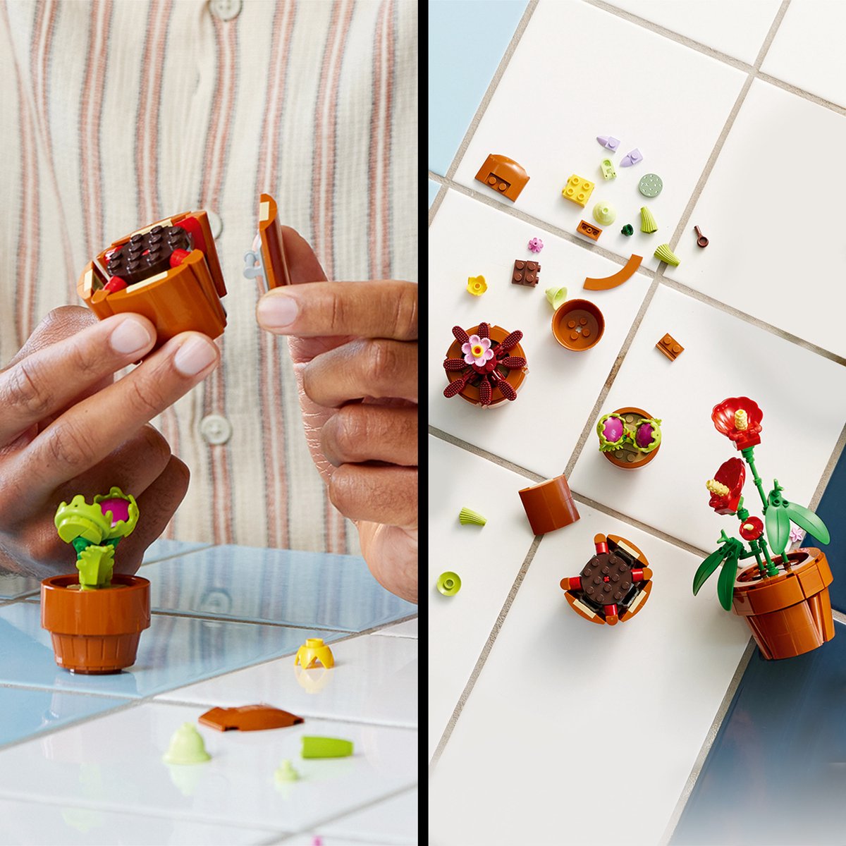LEGO Icons Miniplantjes - Botanical Collection - 10329 - afbeelding 5