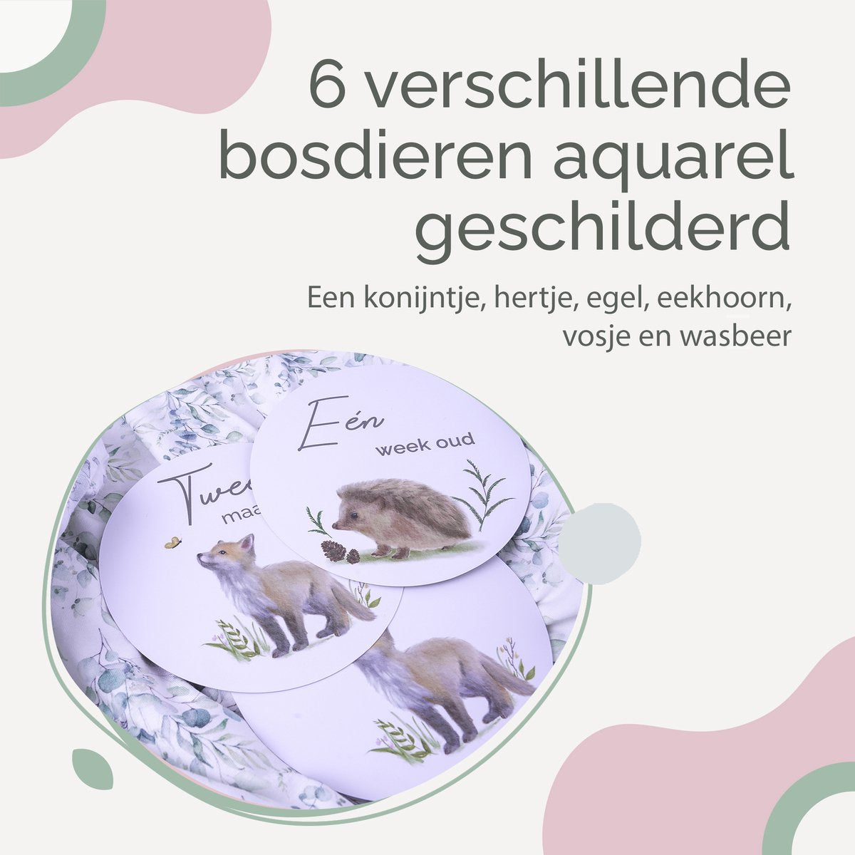 Rose & Ollie Mijlpaalkaarten baby - Bosdieren - babyshower - kraamcadeau - afbeelding 3