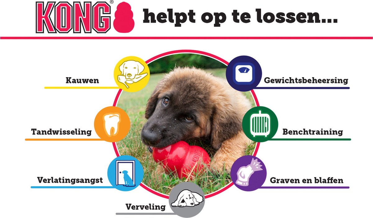 KONG Puppy Speelgoed - Rubber - 8.64 cm - Willekeurige Kleur - M - afbeelding 2