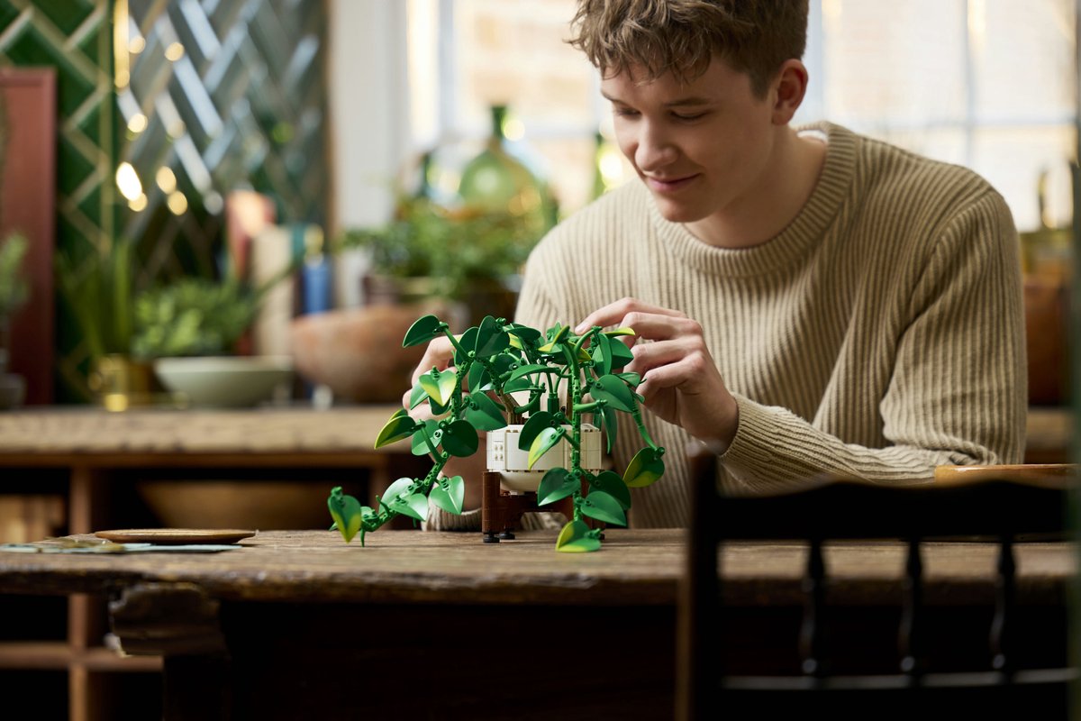 LEGO Botanicals Hangende Drakenklimop Planten - 11512 - afbeelding 3