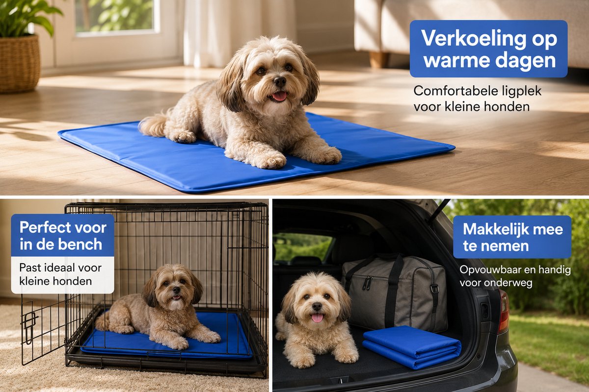 Hondenkoelmat 60 x 80 cm – Maat L – Verkoelende Mat voor Kleine Honden en Katten - Niet-giftige gel - afbeelding 2