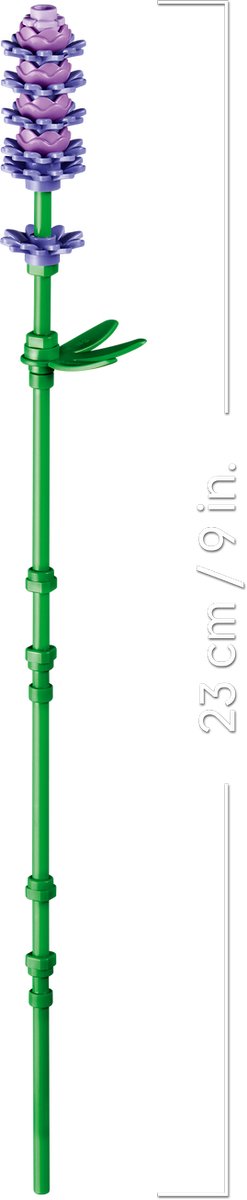 LEGO Botanicals Madeliefjes Bloemen - 11508 - afbeelding 5