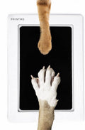 PrintMe - Paw Print Pad - Groter formaat - Pootafdruk maken van Hond of Kat - Geen Inkt op Poot - afbeelding 1